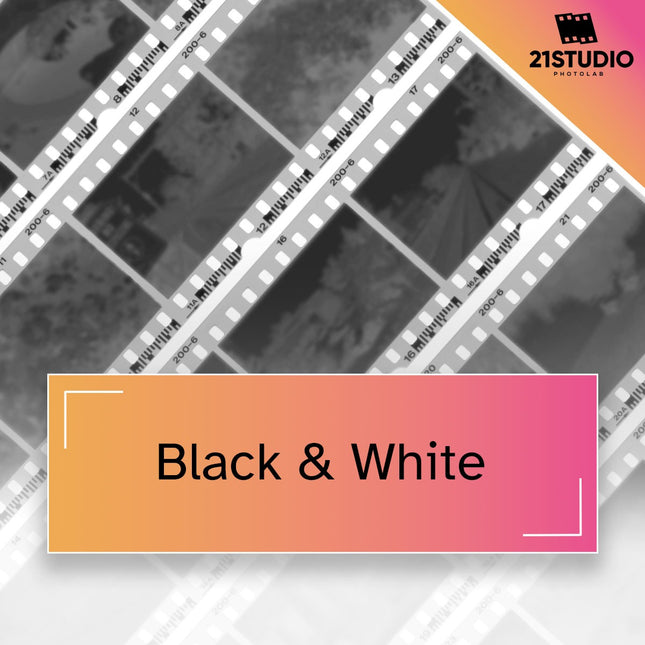 Black & White film banner picture
