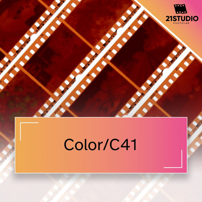 color/c41 film banner picture