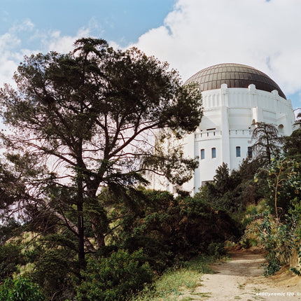 CINESTILL 400D COLOR 120
