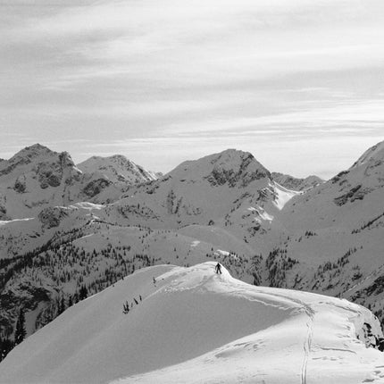 Cinestill BW double x CINESTILL