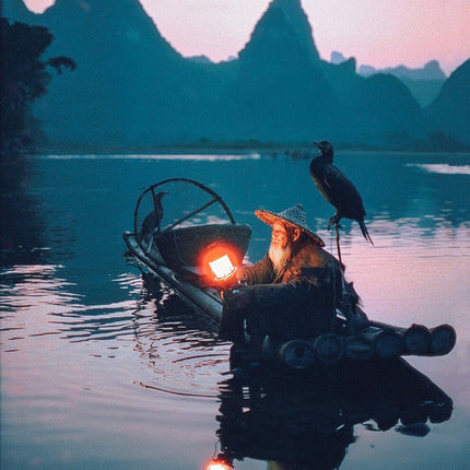 CineSTill800T 135-36 c41 CINESTILL